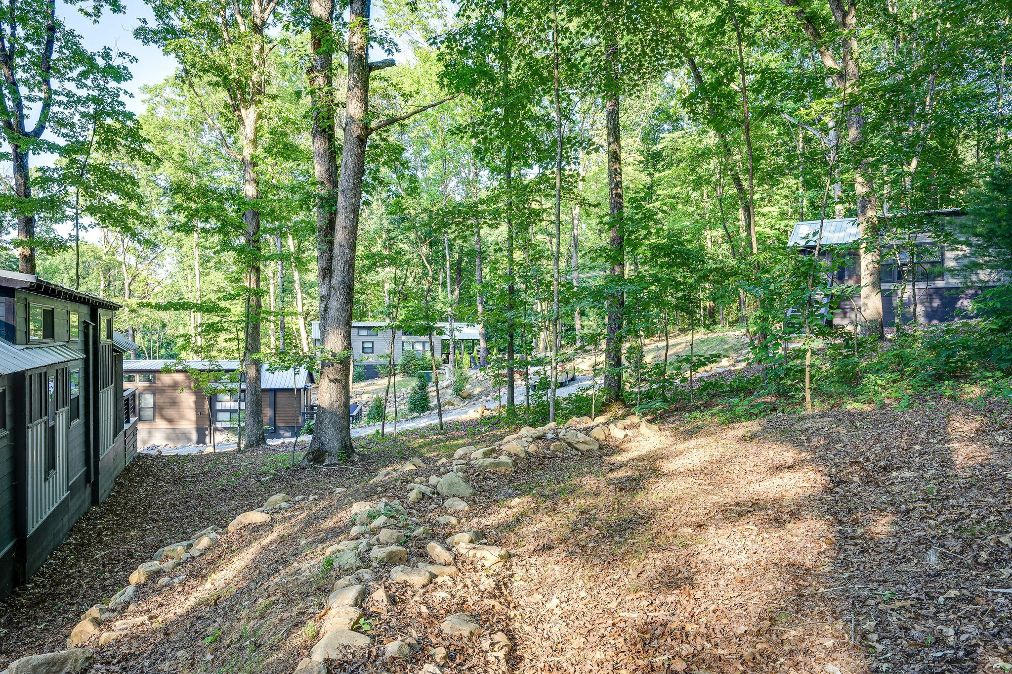30 Oakleaf Trail Tracy City, TN 37387 - Photo 29 of 50 a view of a park with large trees