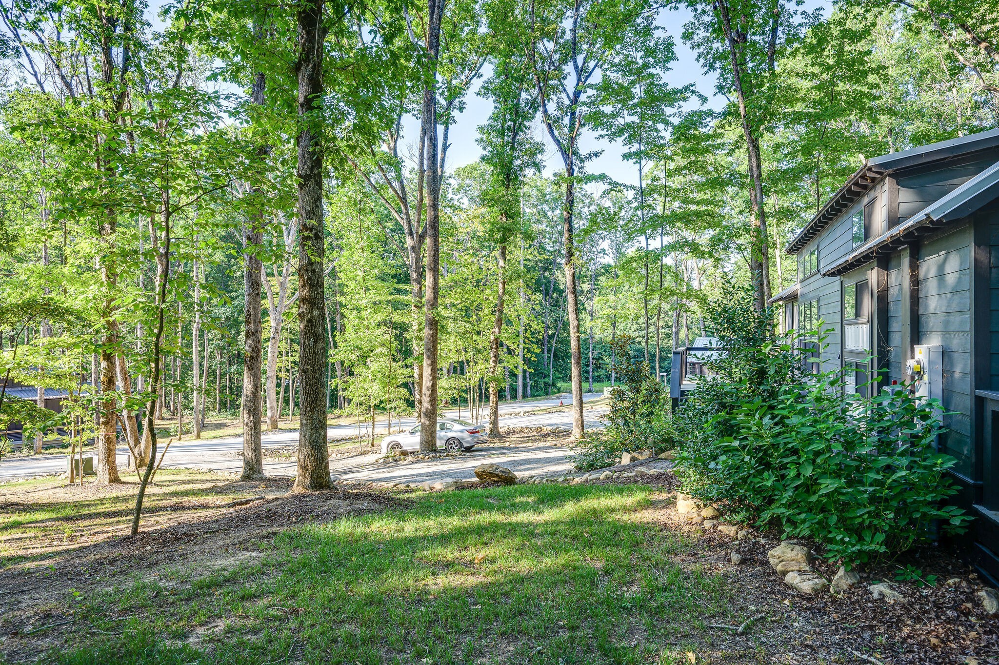30 Oakleaf Trail Tracy City, TN 37387 - Photo 7 of 50 a view of a yard with a tree