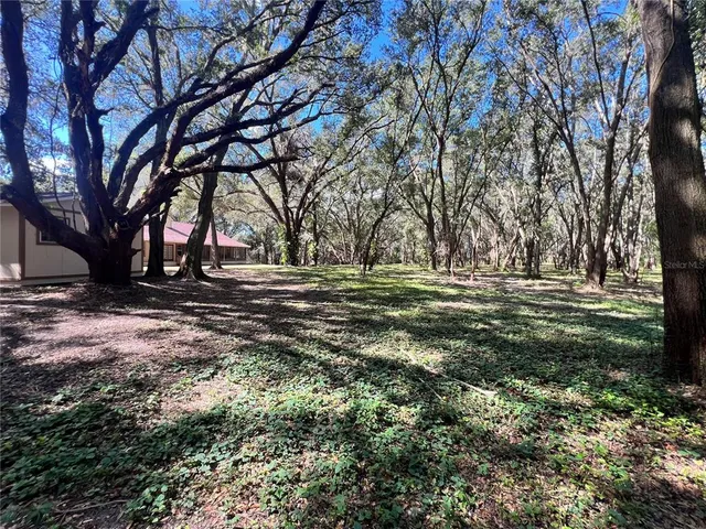 a view of outdoor space with yard