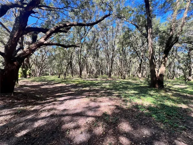 a house view with a outdoor space
