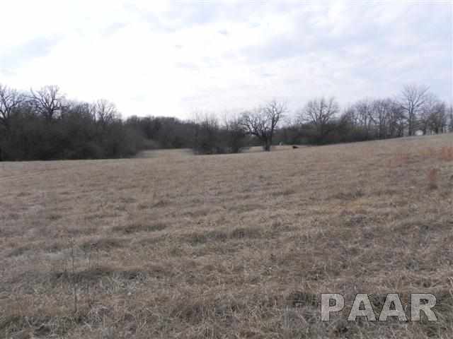 0 Grimm Goodfield, IL 61742 - Photo 3 of 7 Gallery Image 3