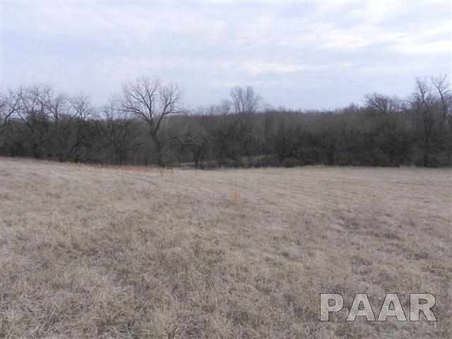 0 Grimm Goodfield, IL 61742 - Photo 4 of 7 Gallery Image 4