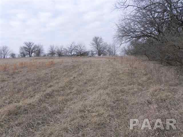 0 Grimm Goodfield, IL 61742 - Photo 5 of 7 Gallery Image 5