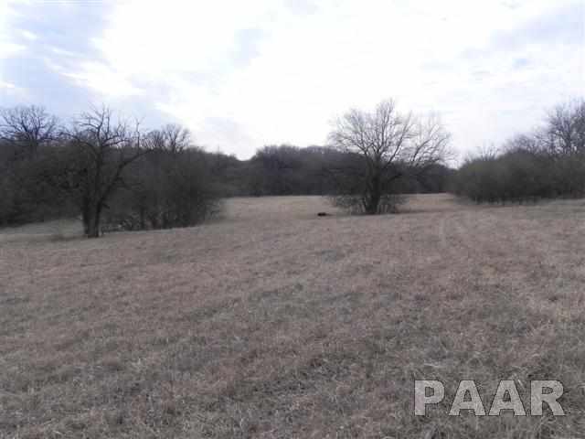 0 Grimm Goodfield, IL 61742 - Photo 6 of 7 Gallery Image 6