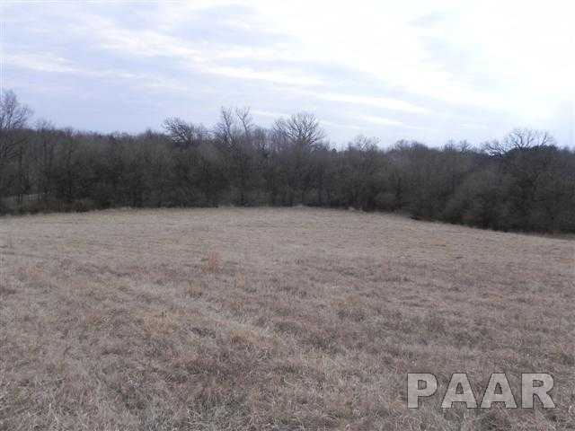 0 Grimm Goodfield, IL 61742 - Photo 7 of 7 Gallery Image 7