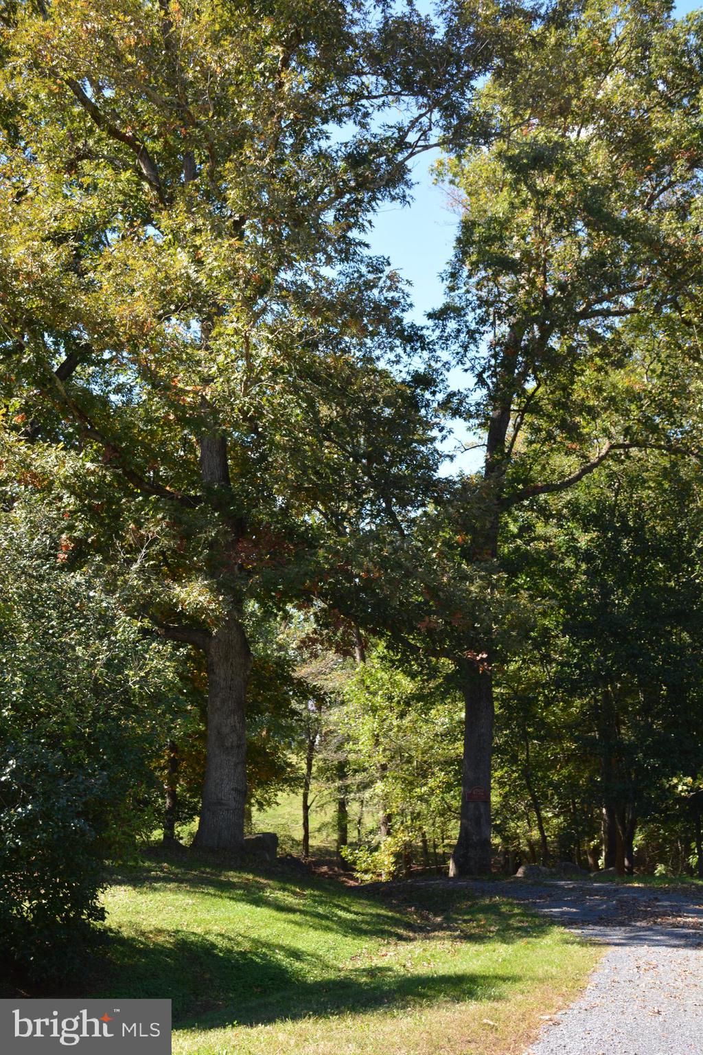 4752 Leeds Lane Hume, VA 22639 - Photo 71 of 80