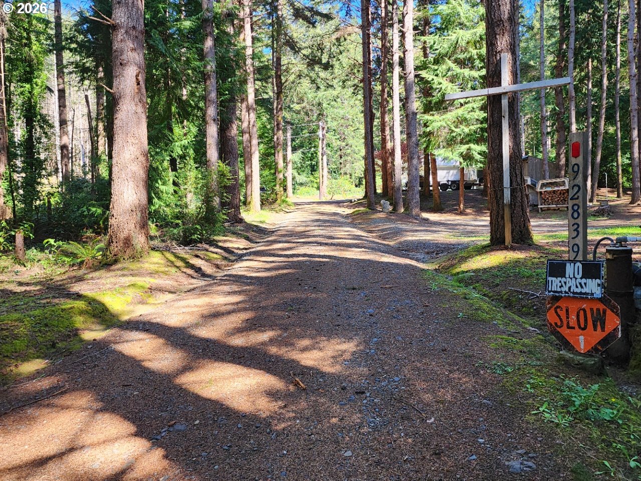 92839 Orchard Road Port Orford, OR 97465 - Photo 25 of 44 Driveway