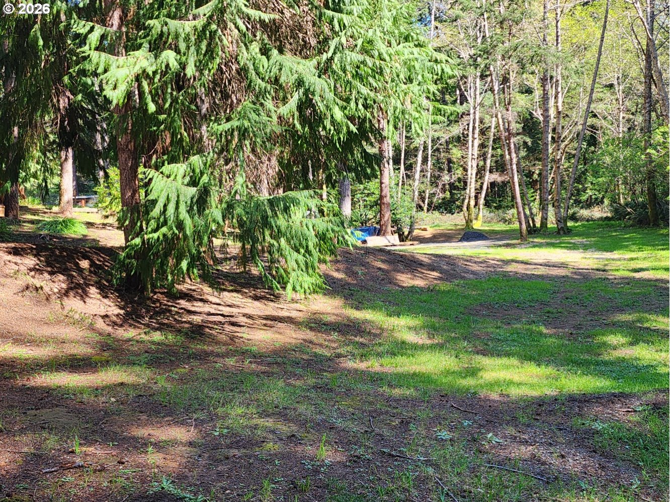 92839 Orchard Road Port Orford, OR 97465 - Photo 26 of 44 Yard