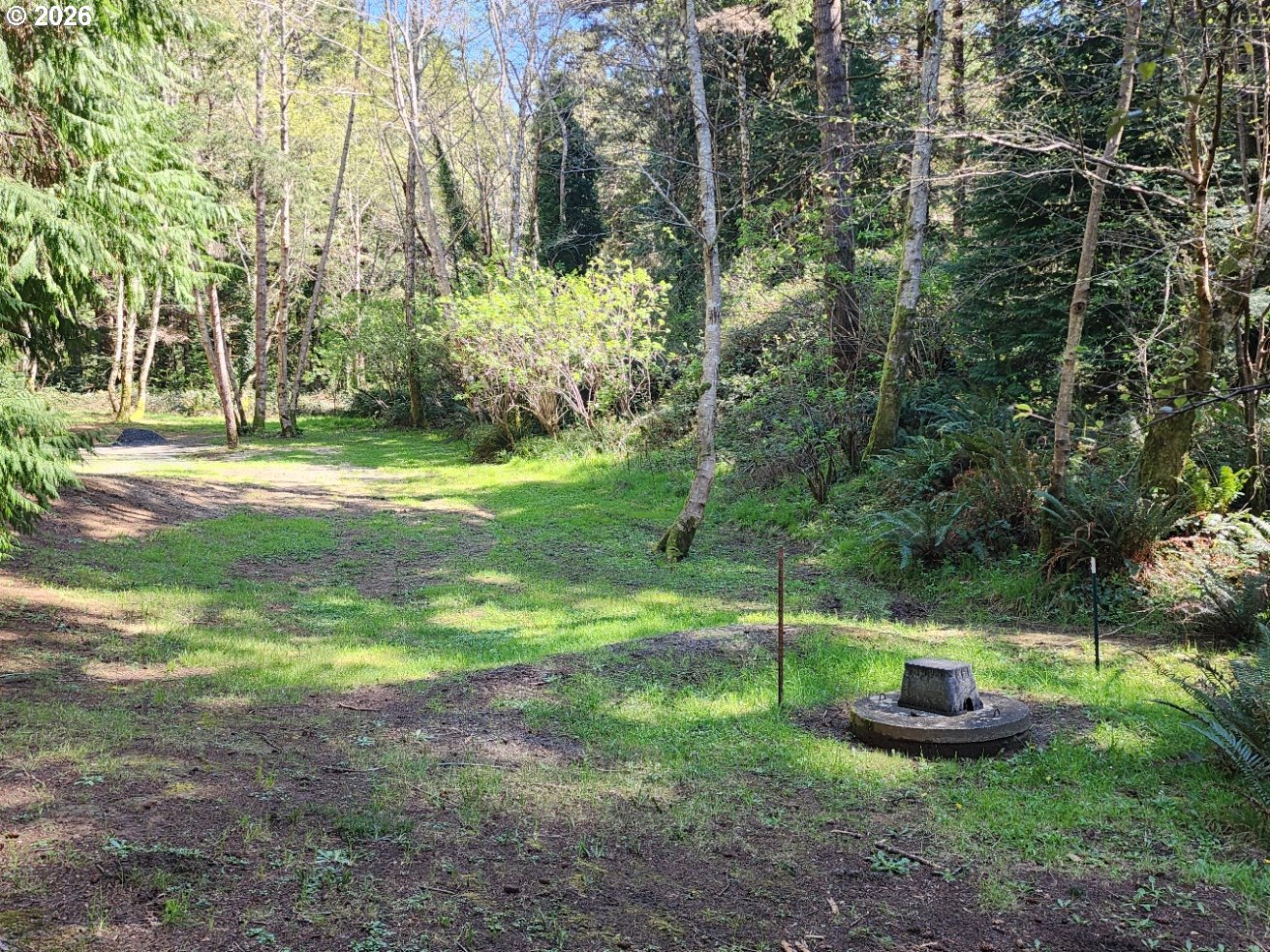 92839 Orchard Road Port Orford, OR 97465 - Photo 27 of 44 Yard