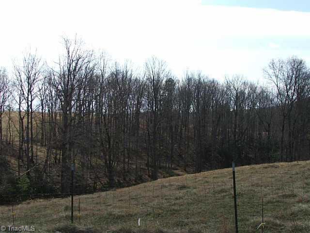 Tbd Flippin Road Lowgap, NC 27024 - Photo 5 of 5 Other.