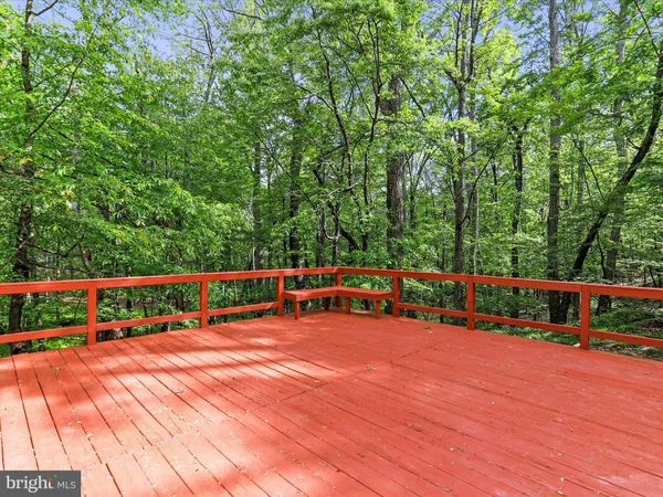 a view of ocean with trees in the background