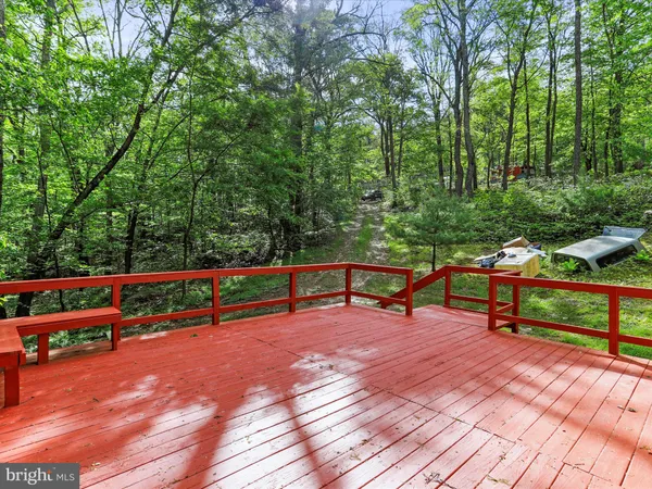 a park view with a bench and trees