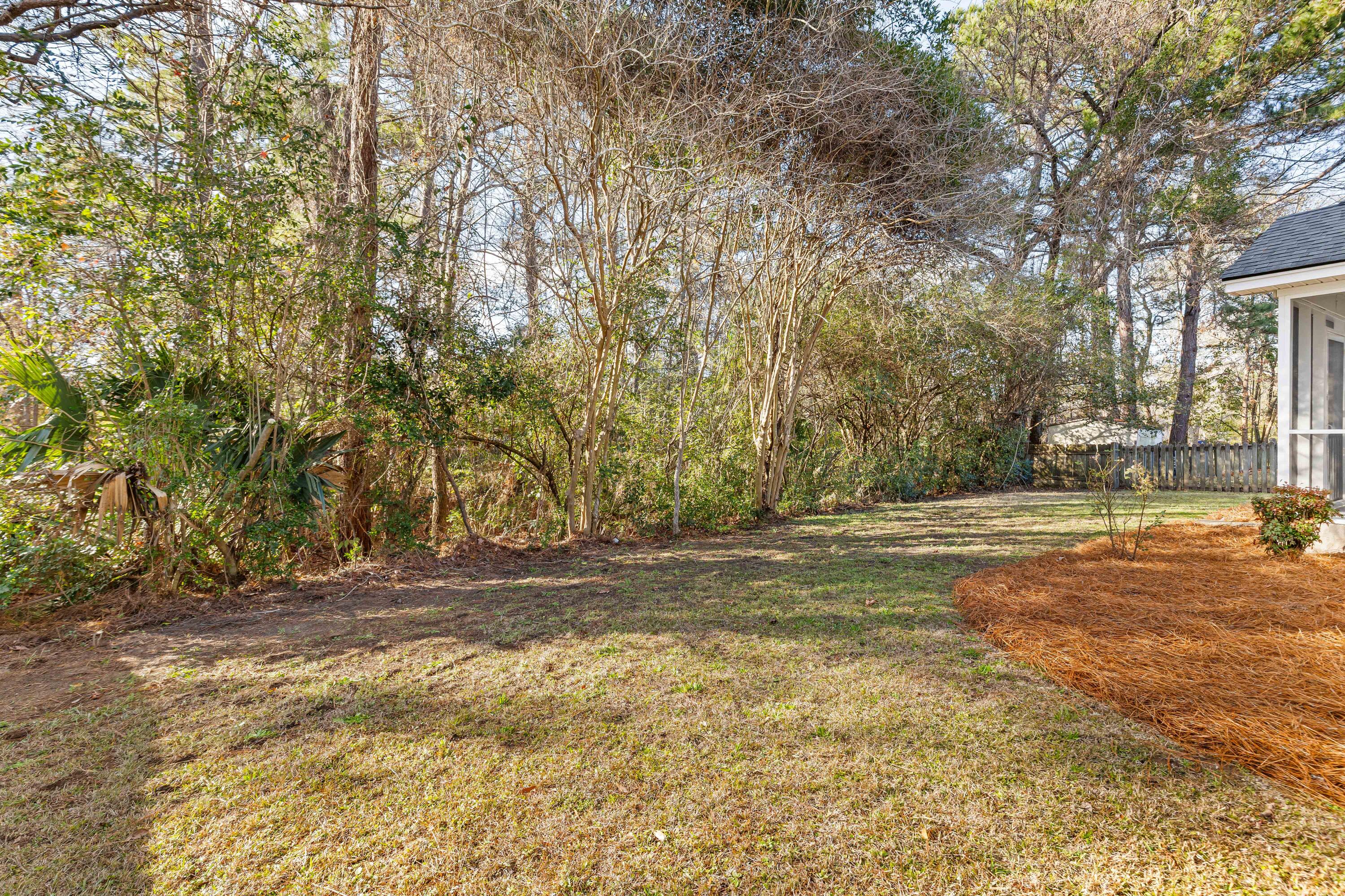 1264 Chatfield Street Mount Pleasant, SC 29464 - Photo 32 of 37 Wooded backdrop