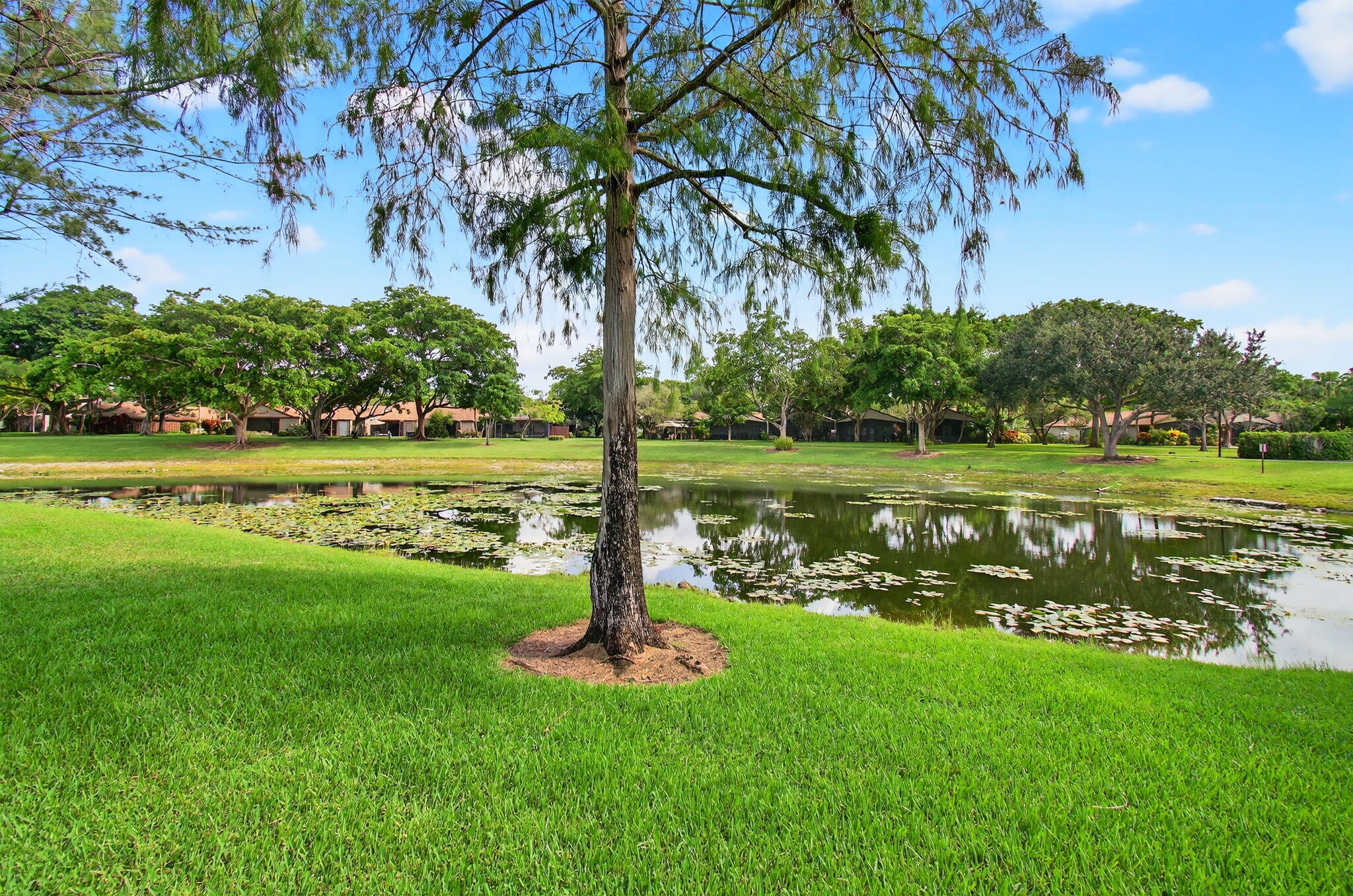 11609 Orange Blossom Lane Boca Raton, FL 33428 - Photo 20 of 30 a view of a park with large trees