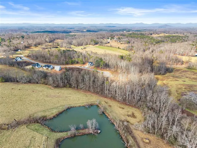 a view of a dry yard with trees