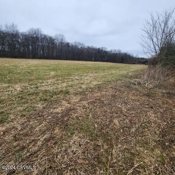 0 Swank Road Sunbury, PA 17801 - Photo 14 of 17 Gallery Image 14