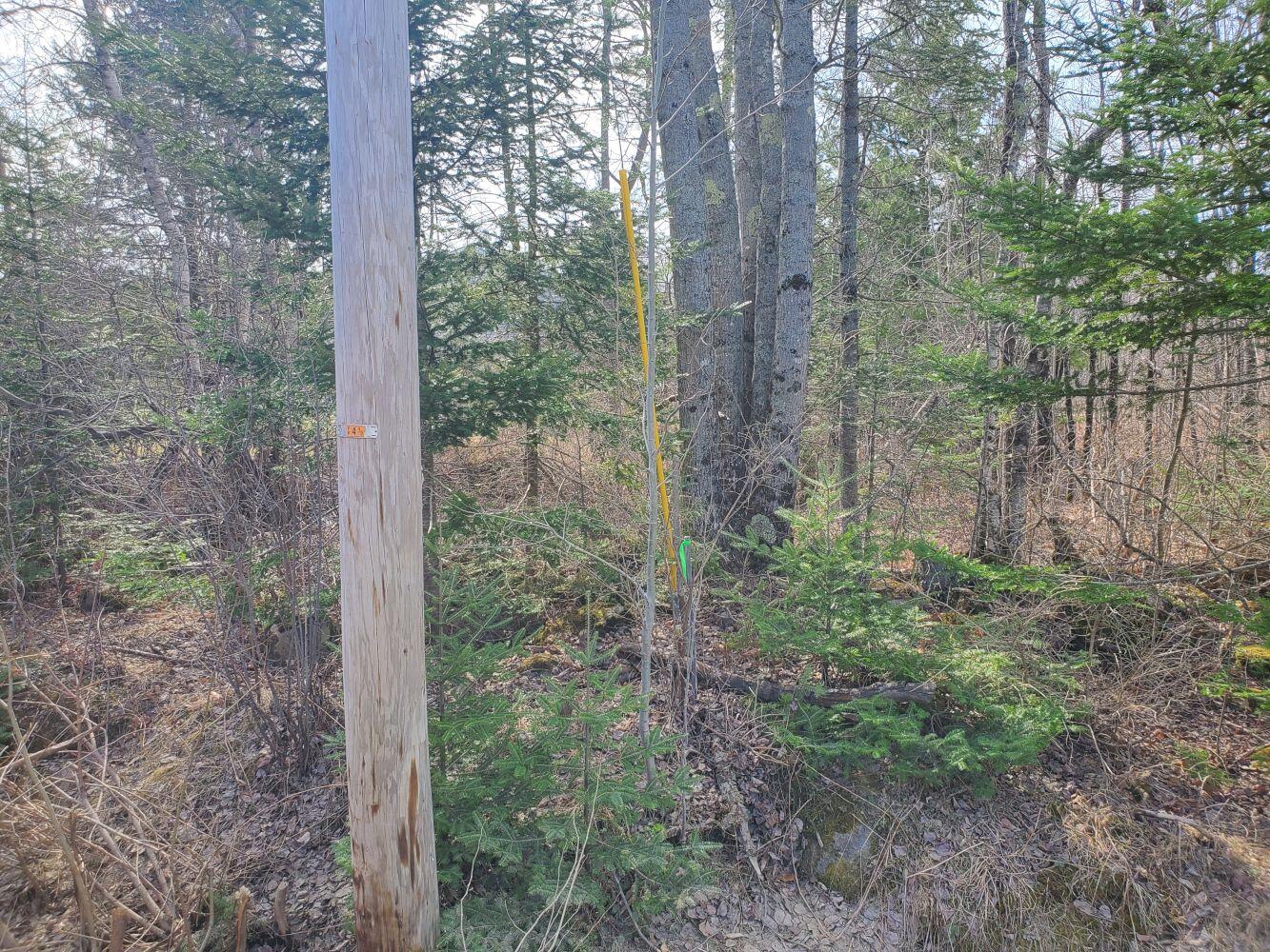 6 Hope Road Newport, ME 04953 - Photo 13 of 13 20230414_100553