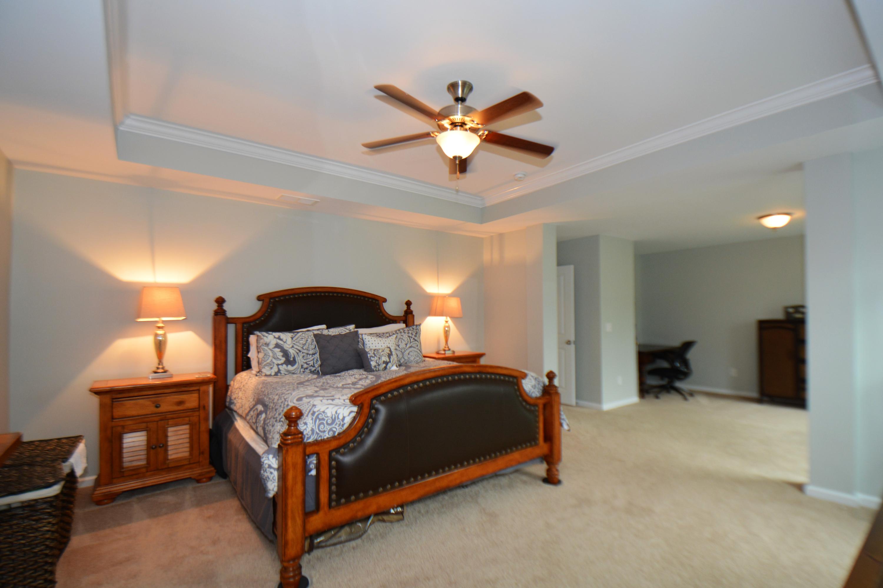 1319 Raven Road Hanahan, SC 29410 - Photo 26 of 39 trey ceiling