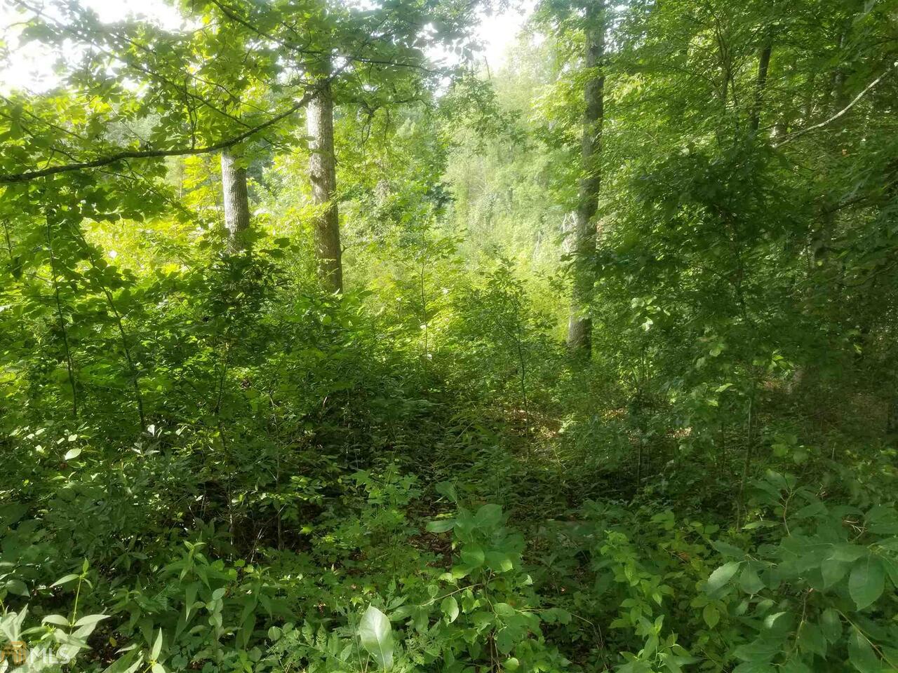 135 Salisbury Road Dahlonega, GA 30533 - Photo 1 of 1 Gallery Image 1