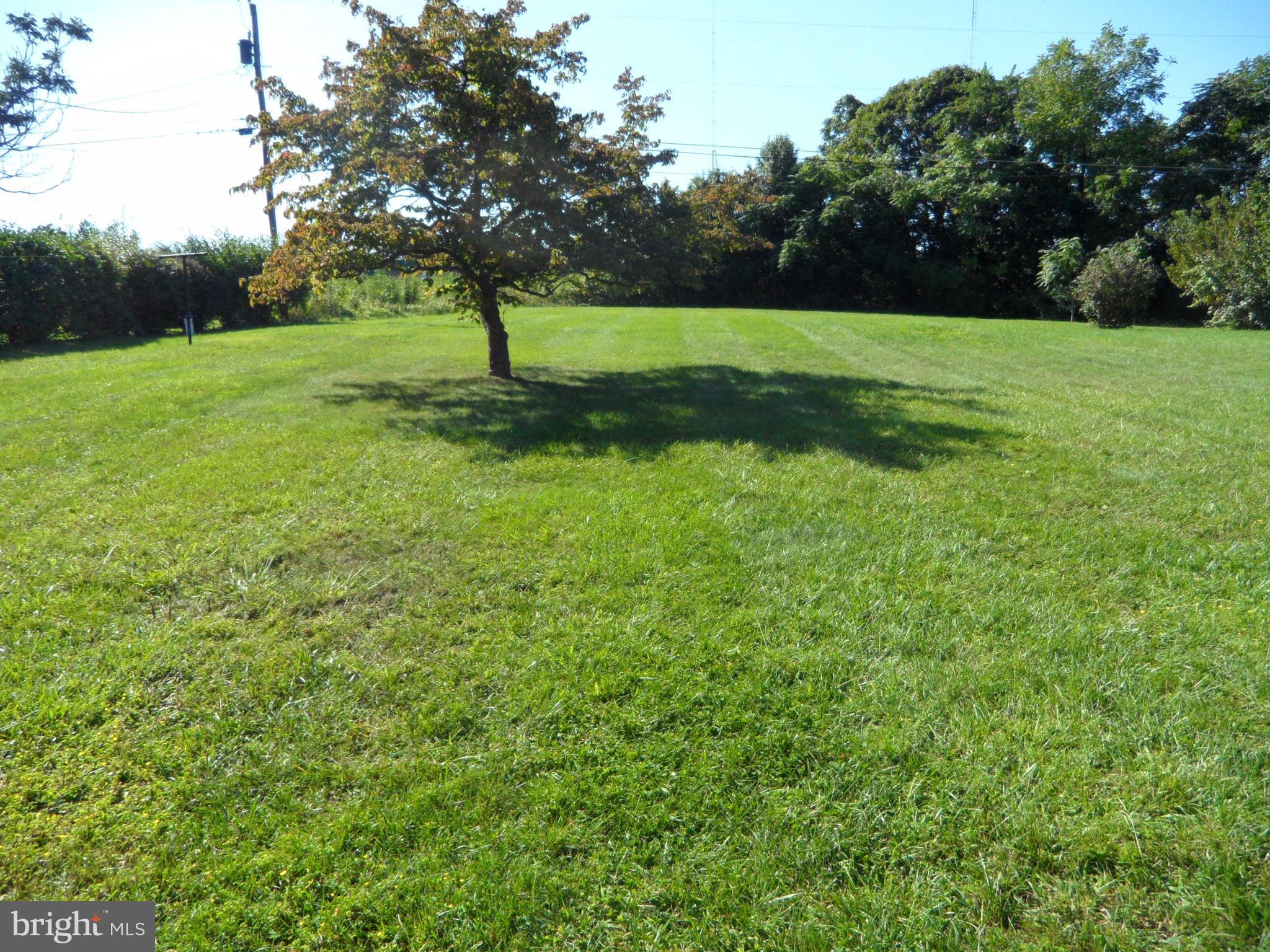 5976 Grove Hill Road Frederick, MD 21703 - Photo 5 of 15 .48 acre lot- level backyard