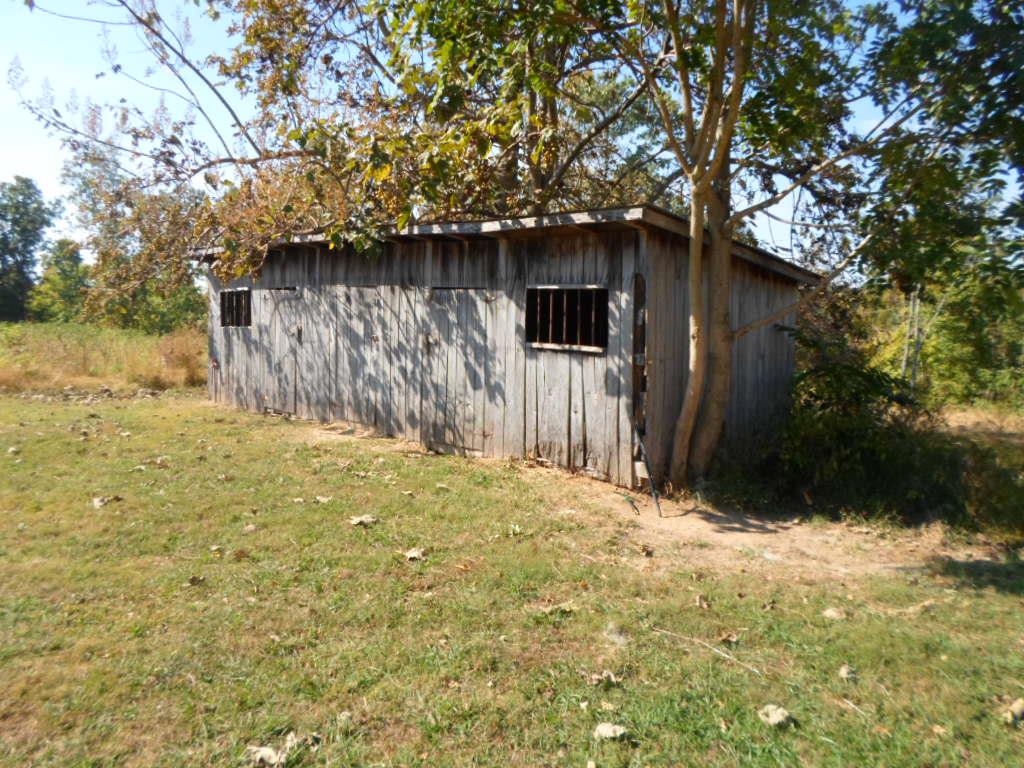 242 Old Chestnut Ridge Road Petersburg, TN 37144 - Photo 12 of 16 Gallery Image 12