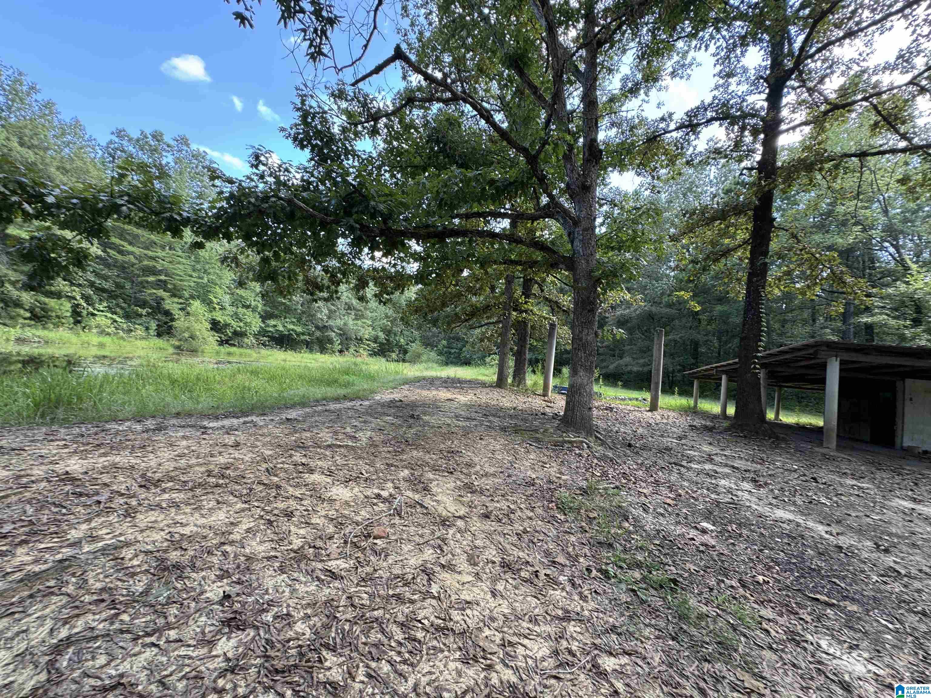 20394 County Road 55 Sterrett, AL 35147 - Photo 20 of 43
