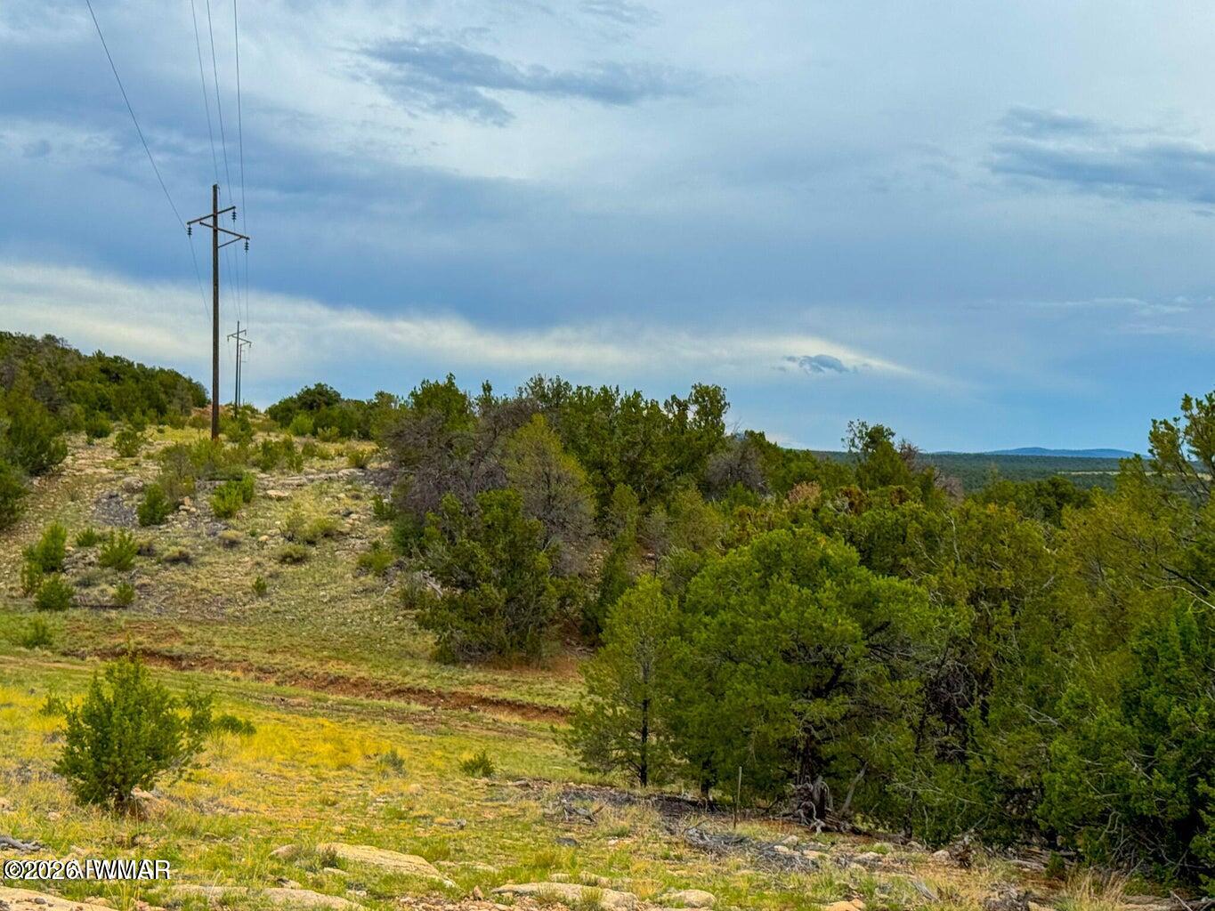 132 East Sidewinder Road Williams, AZ 86046 - Photo 4 of 14