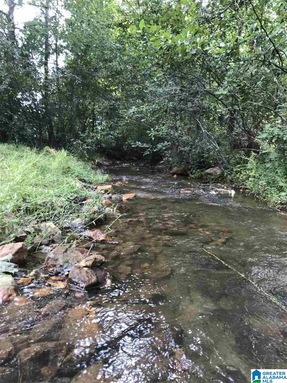 516 County Road Woodland, AL 36280 - Photo 16 of 22