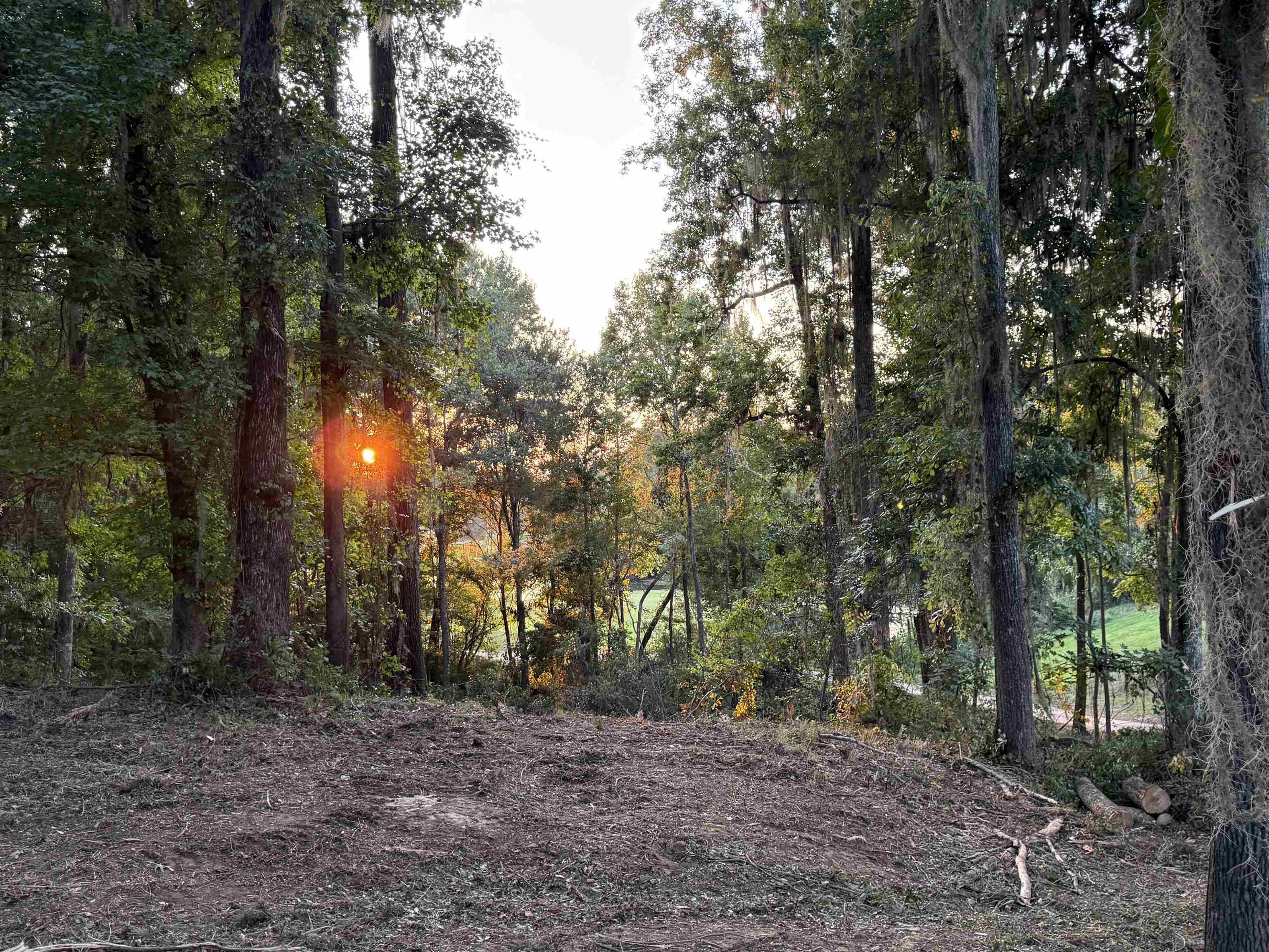 7604 Preservation Road Tallahassee, FL 32312 - Photo 11 of 15