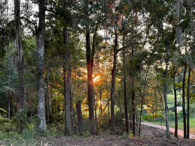 $169,900 | 7604 Preservation Road, Tallahassee, FL 32312