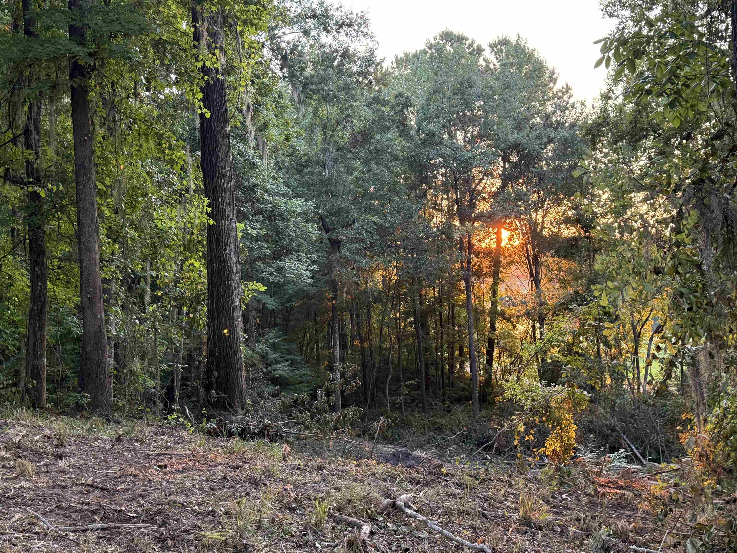 7604 Preservation Road Tallahassee, FL 32312 - Photo 13 of 15