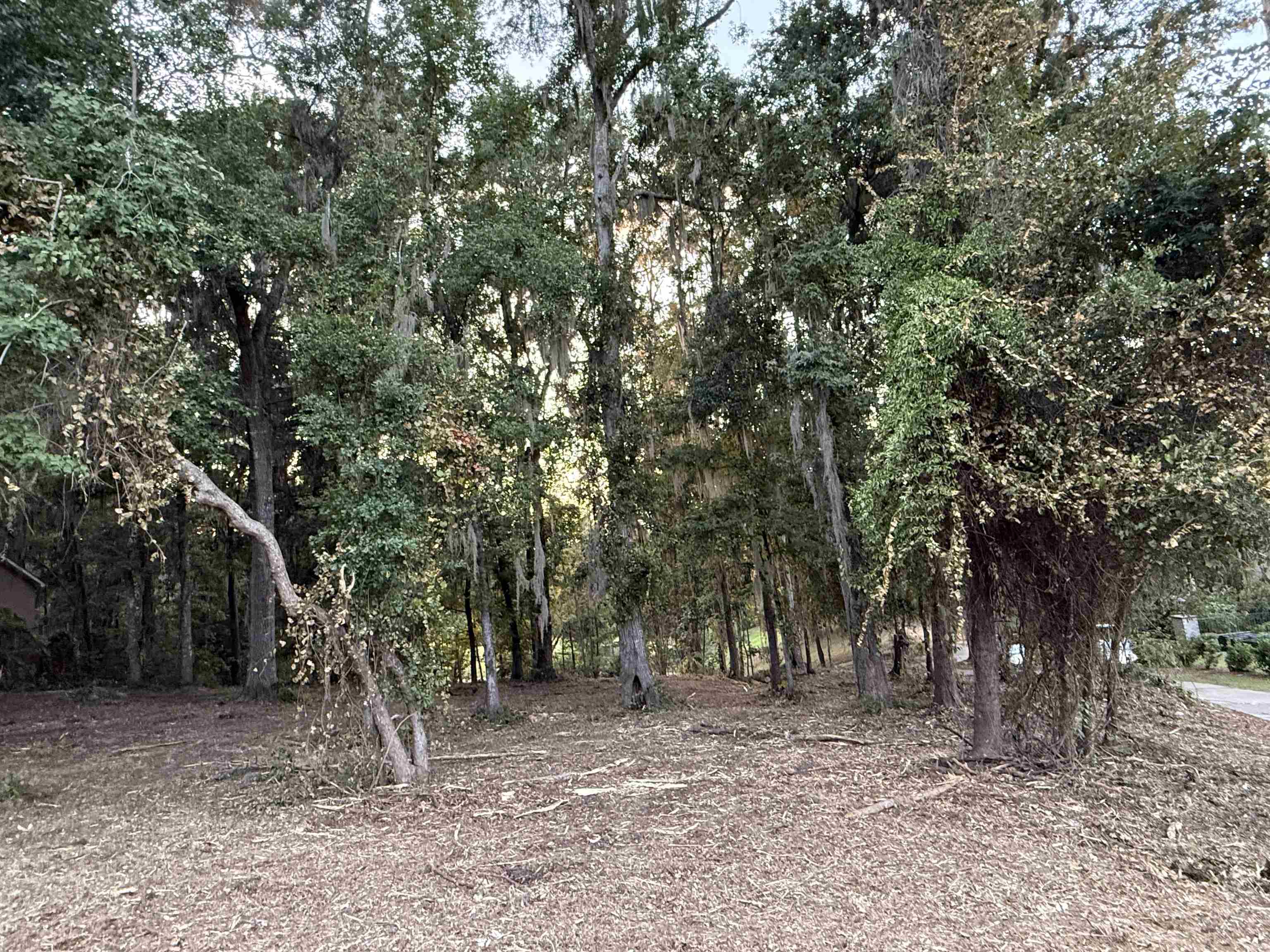 7604 Preservation Road Tallahassee, FL 32312 - Photo 14 of 15