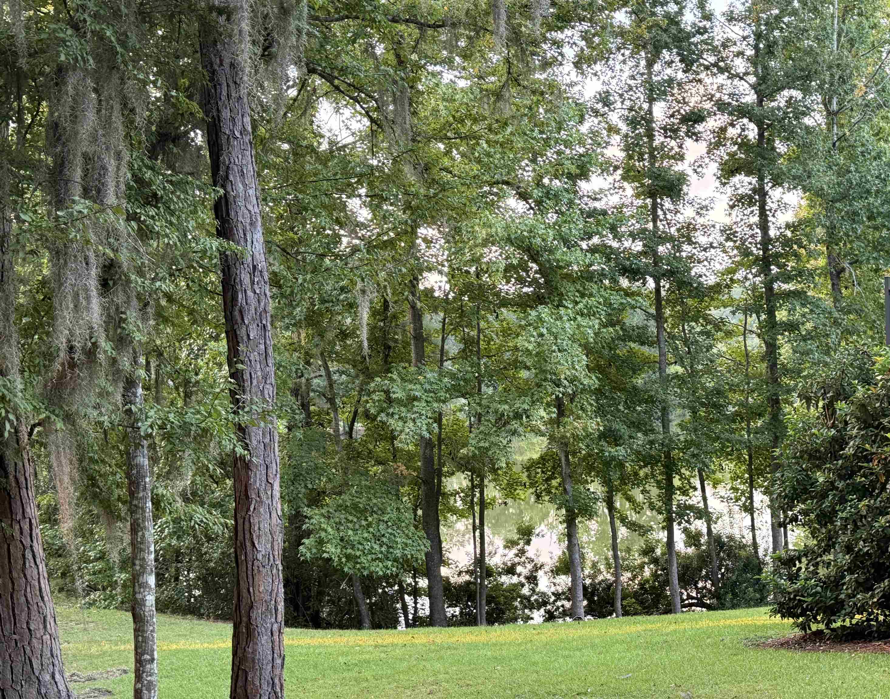 7604 Preservation Road Tallahassee, FL 32312 - Photo 9 of 15