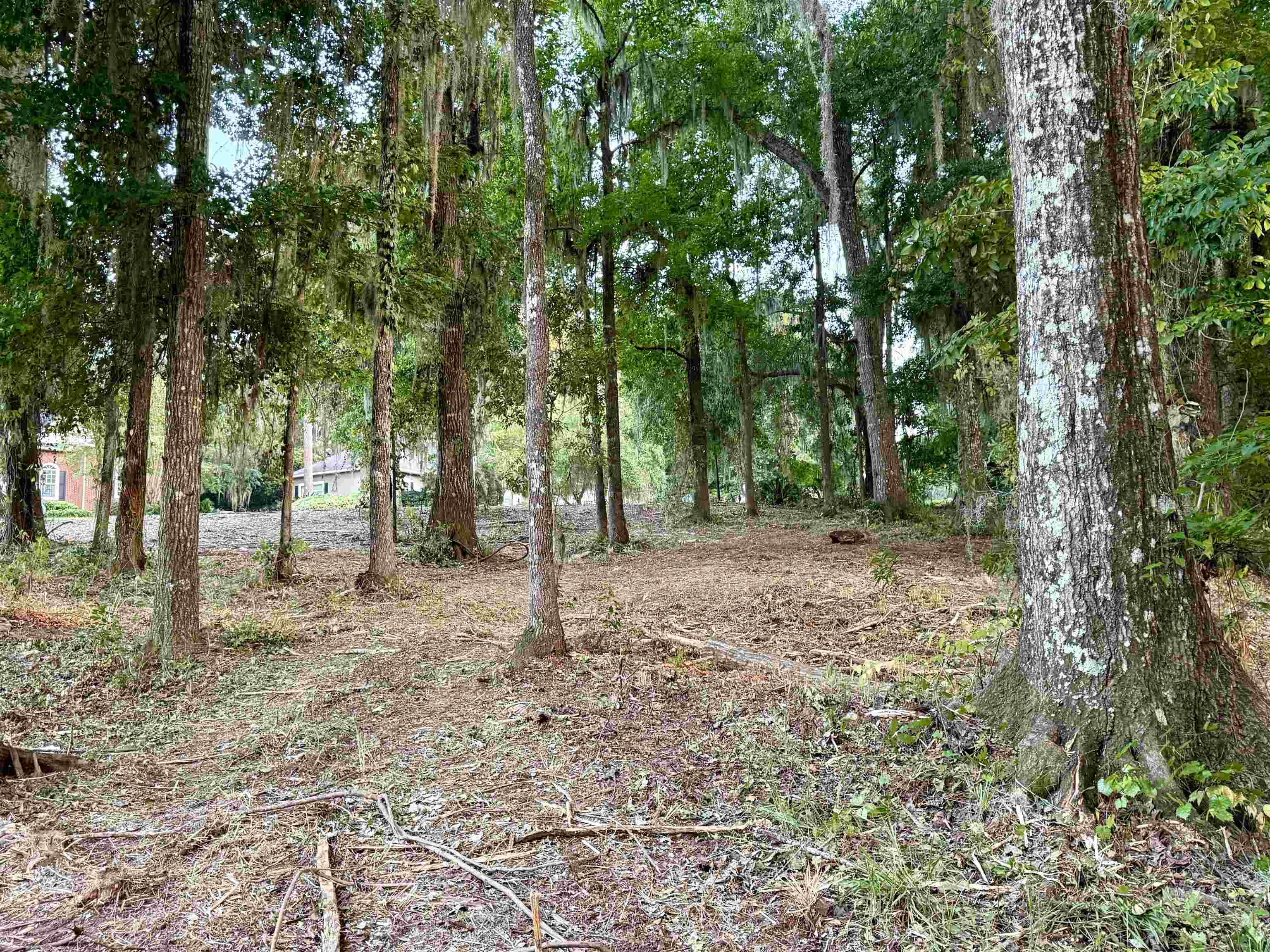 7604 Preservation Road Tallahassee, FL 32312 - Photo 10 of 15