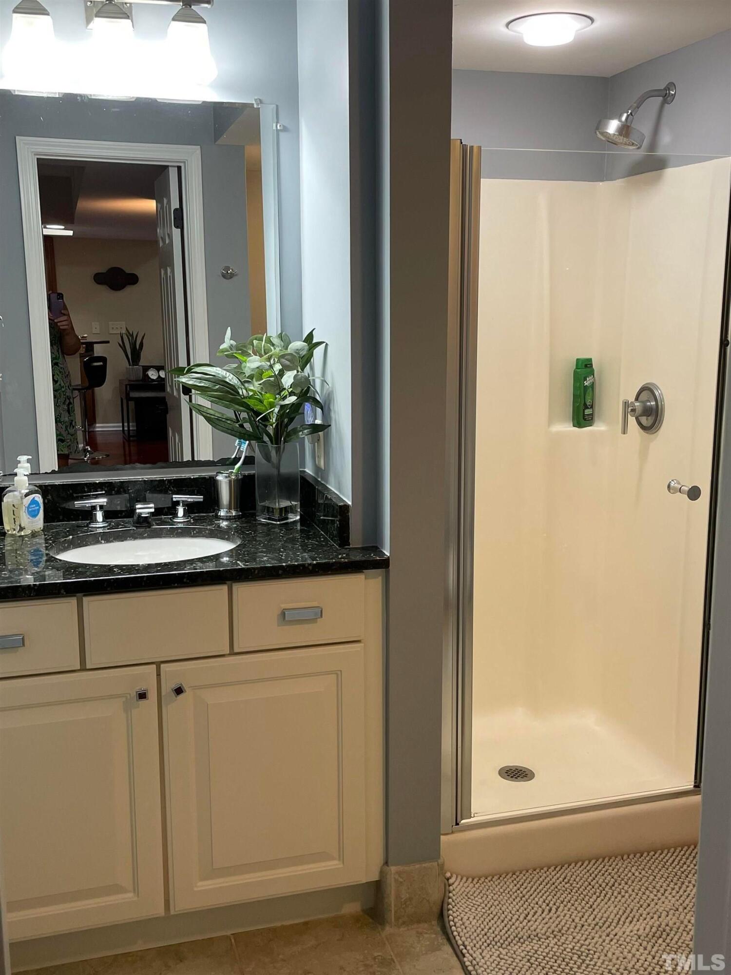 720 Bilyeu Street, Unit 203 Raleigh, NC 27606 - Photo 12 of 13 a bathroom with a granite countertop mirror a potted plant and a sink