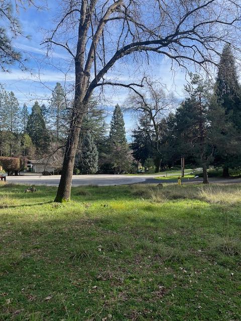 10710 West View Way Alta Sierra, CA 95949 - Photo 8 of 13