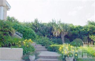 Primary Photo