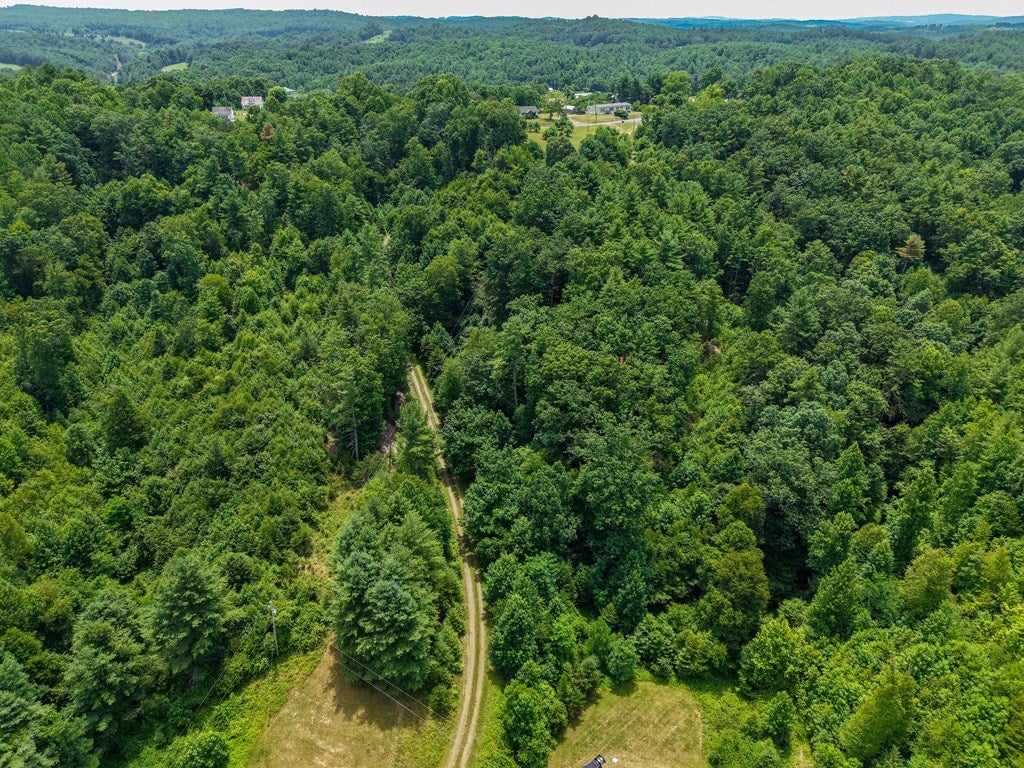 Tbd Tbd Little Vine Road Hillsville, VA 24343 - Photo 38 of 43 Gallery Image 38