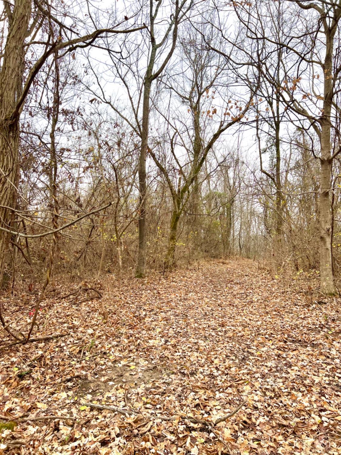 1 Stringtown Road Aberdeen, OH 45101 - Photo 48 of 50
