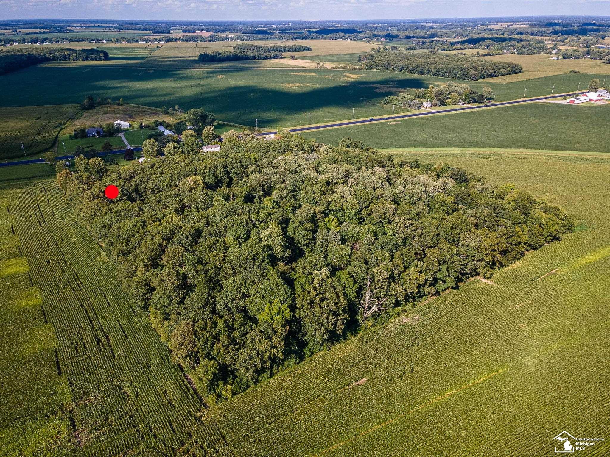 8945 South Custer Road Ida, MI 48140 - Photo 40 of 43 Gallery Image 40