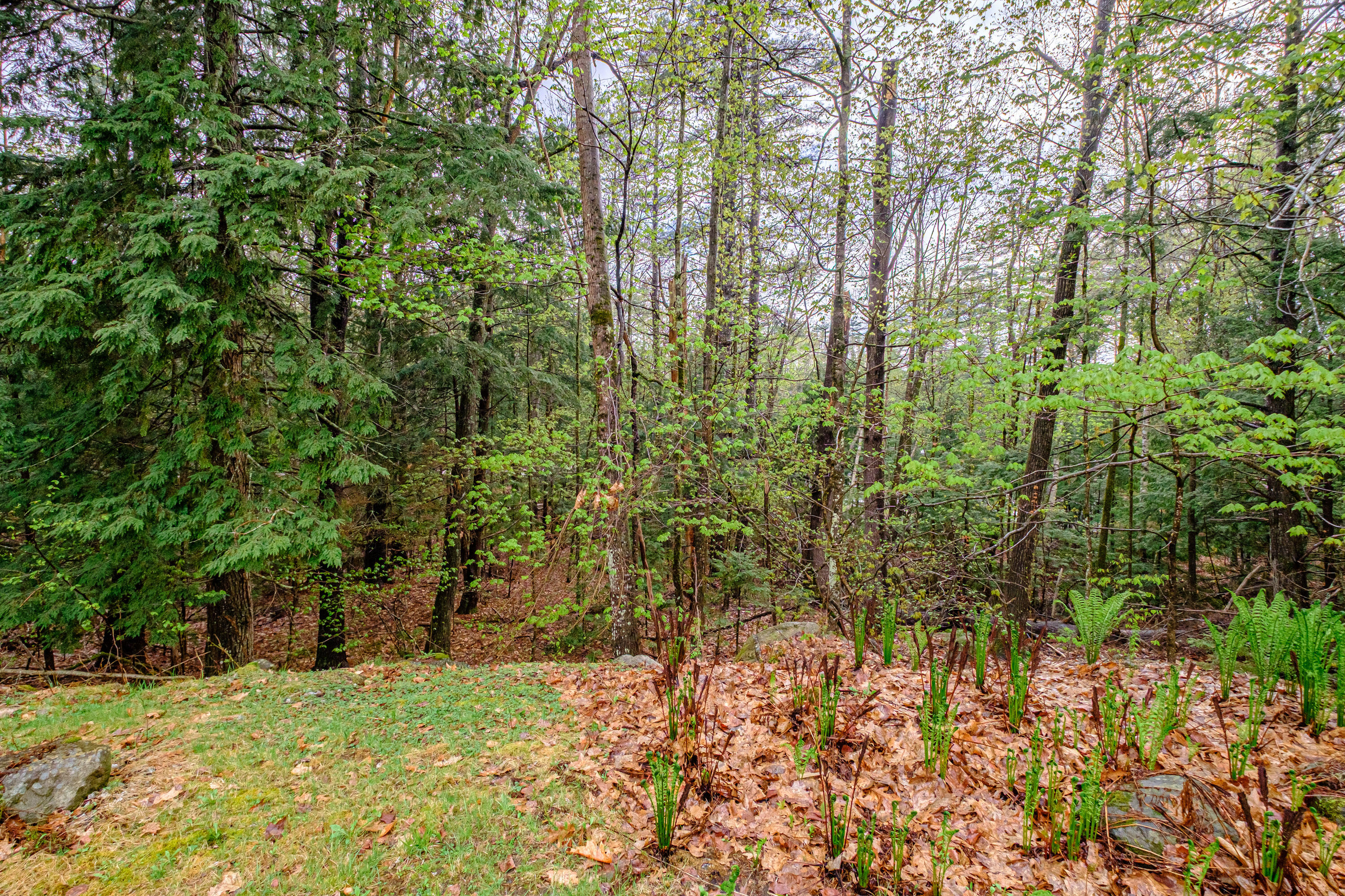 10 Beech Circle Limerick, ME 04048 - Photo 38 of 52 20250507gp-62046