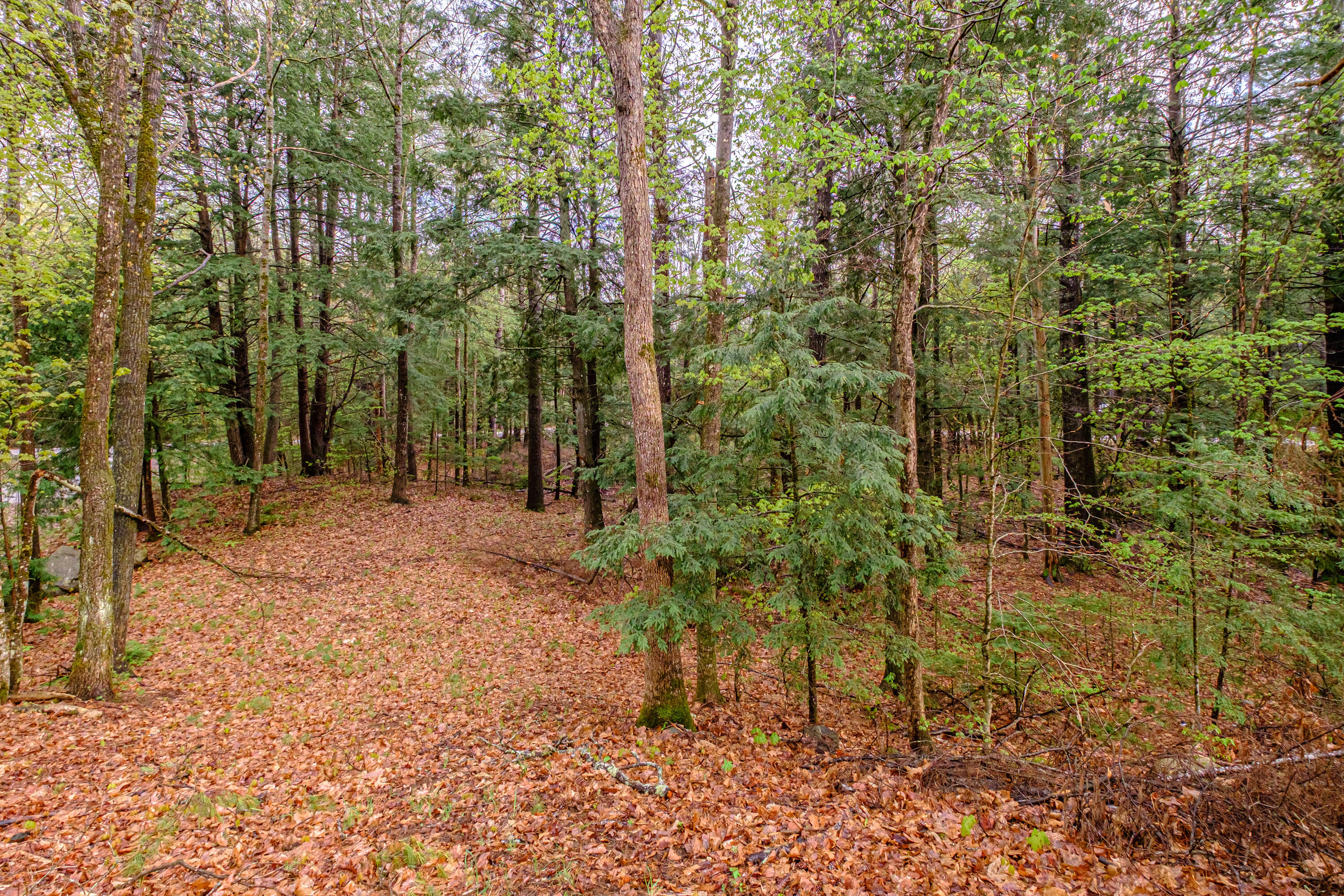 10 Beech Circle Limerick, ME 04048 - Photo 41 of 52 20250507gp-62050