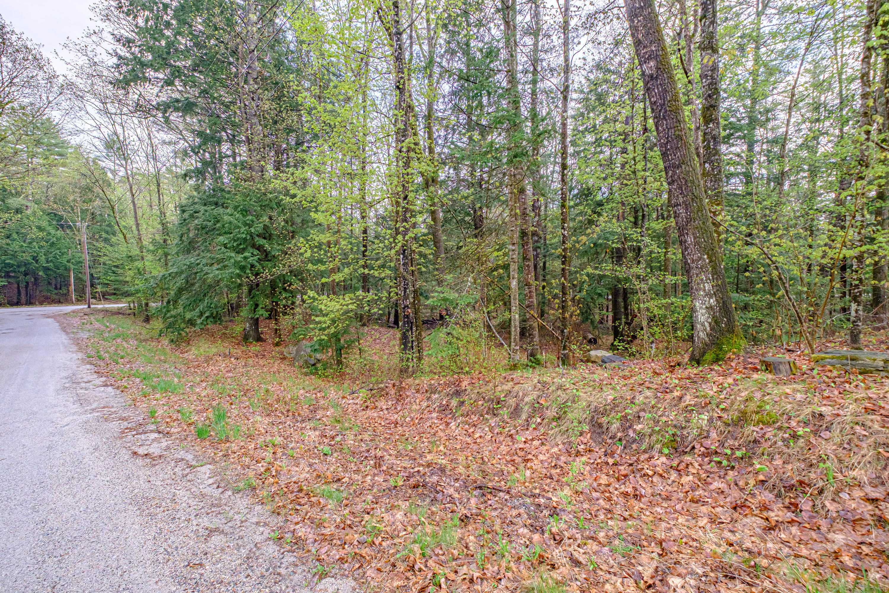 10 Beech Circle Limerick, ME 04048 - Photo 42 of 52 20250507gp-62051