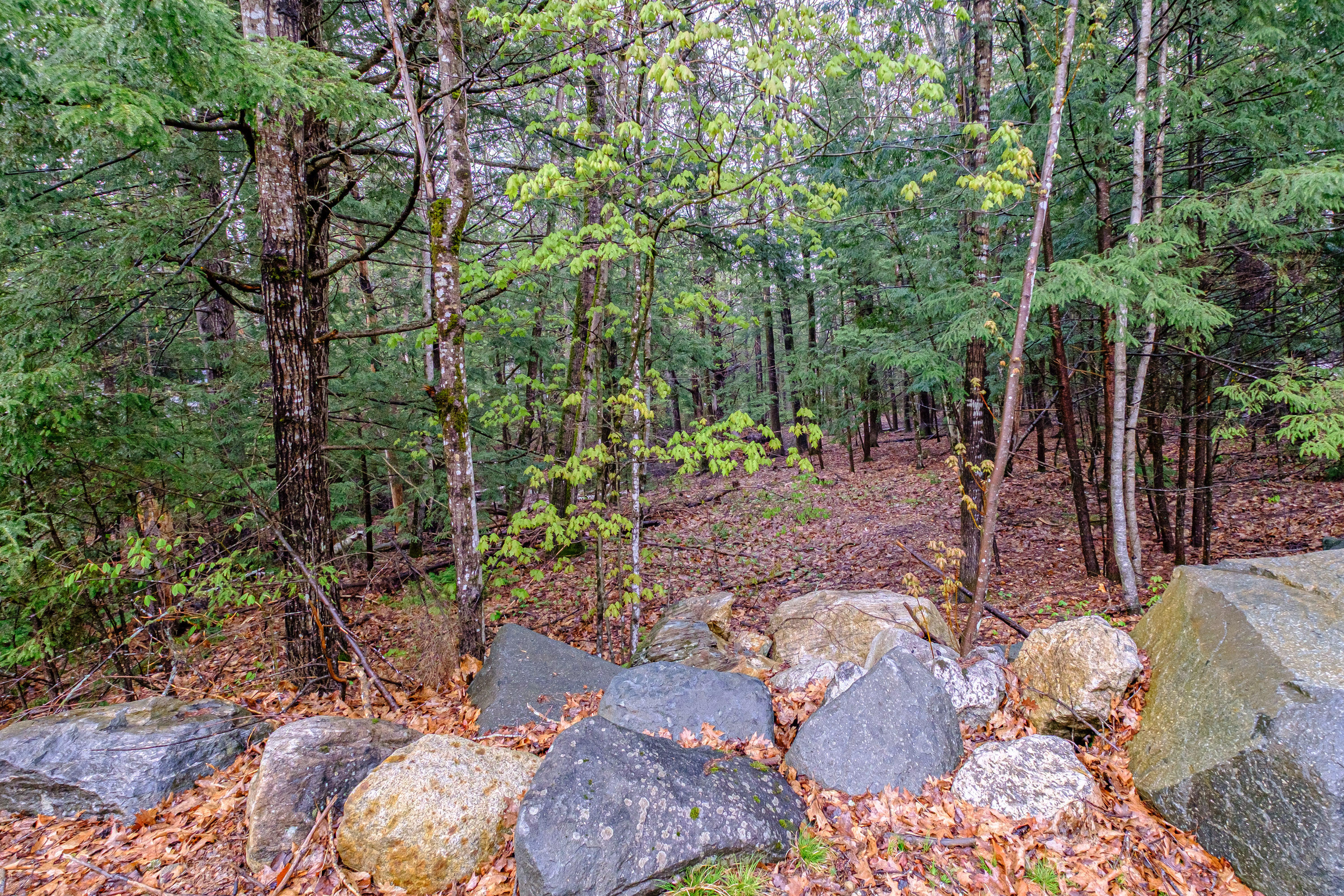 10 Beech Circle Limerick, ME 04048 - Photo 46 of 52 20250507gp-62061