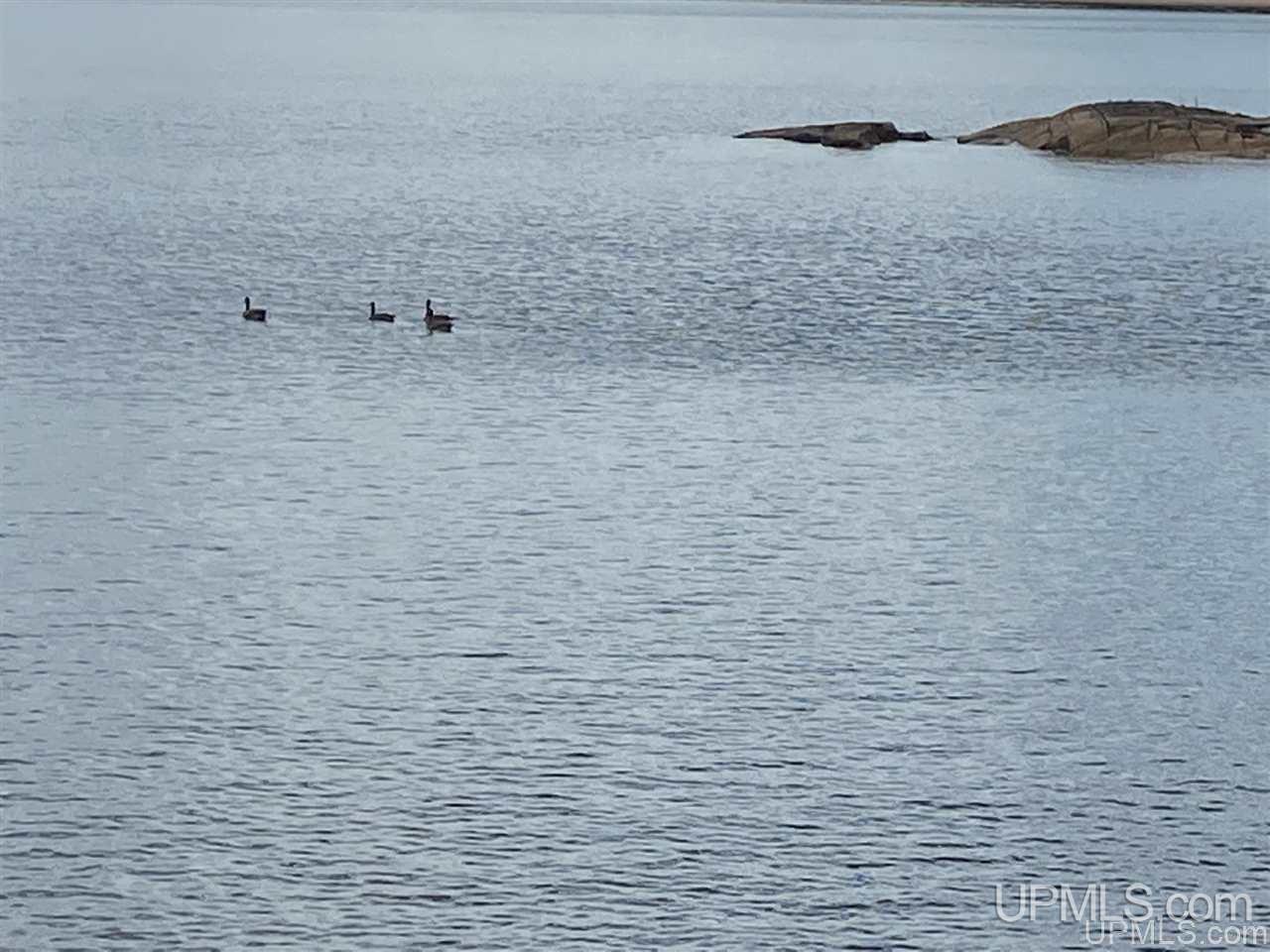 51 Middle Island Point Road Marquette, MI 49855 - Photo 47 of 47 Gallery Image 47