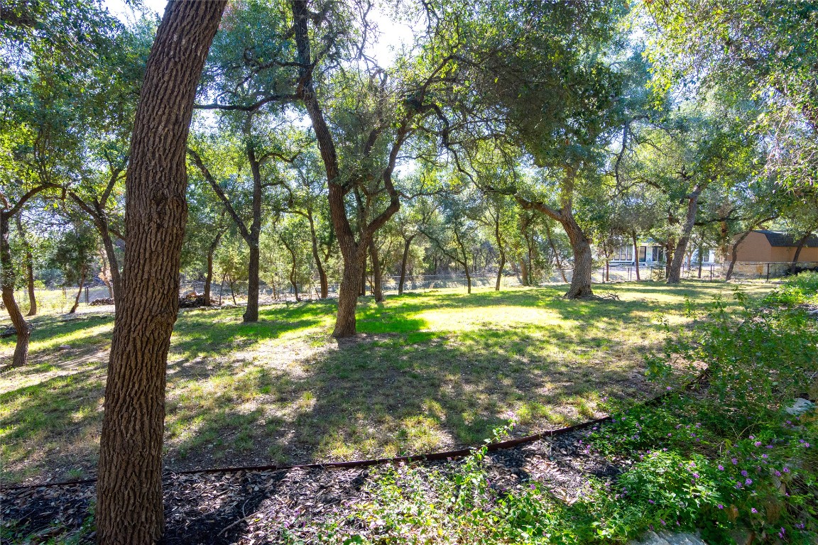 316 Chadwick Drive Georgetown, TX 78628 - Photo 31 of 39 a view of a yard with a tree