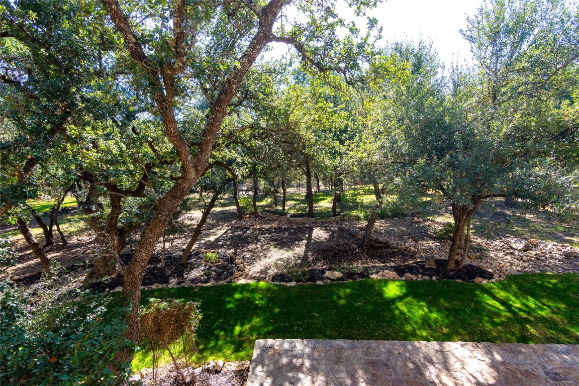 316 Chadwick Drive Georgetown, TX 78628 - Photo 33 of 39 a backyard of a house with lots of green space