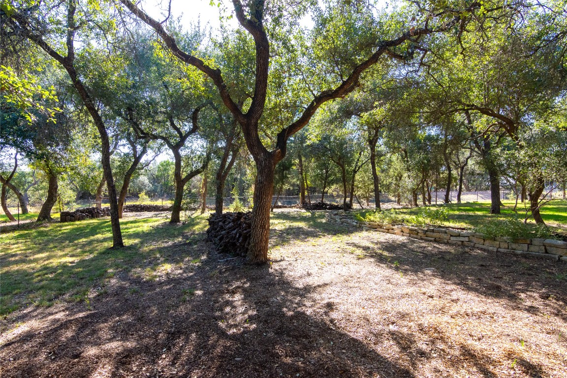 316 Chadwick Drive Georgetown, TX 78628 - Photo 39 of 39 a view of a tree in a yard