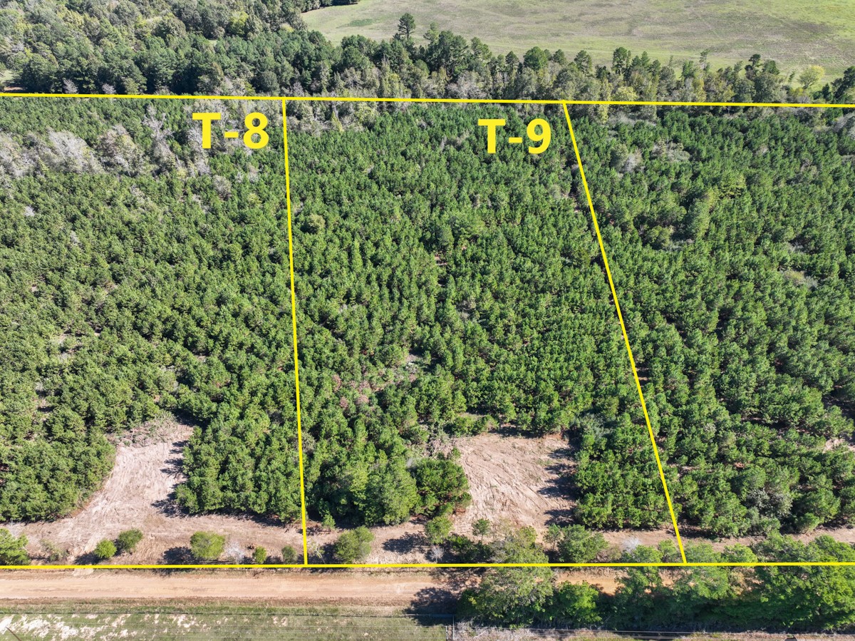 4 County Road 3121 Long Branch, TX 75669 - Photo 2 of 16 a view of swimming pool with a yard and large trees