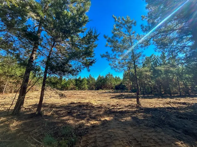 $45,705 | 4 County Road 3121, Long Branch, TX 75669